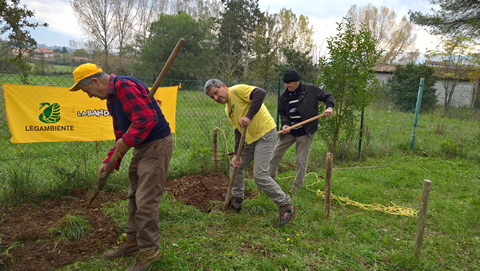 veronesi-silo-sordilli