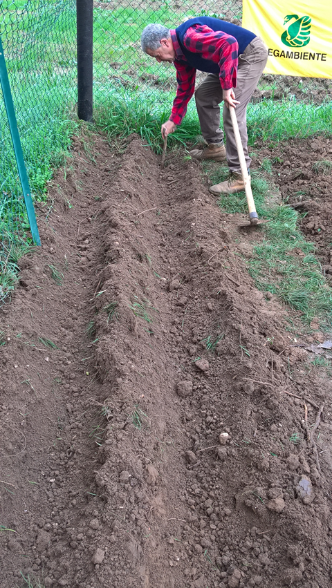 vincenzo-sillo-illustra-uso-pzzuch